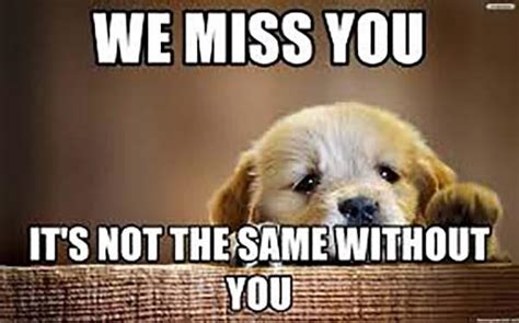 We miss you meme - With Tenor, maker of GIF Keyboard, add popular Miss You Crying animated GIFs to your conversations. Share the best GIFs now >>>
